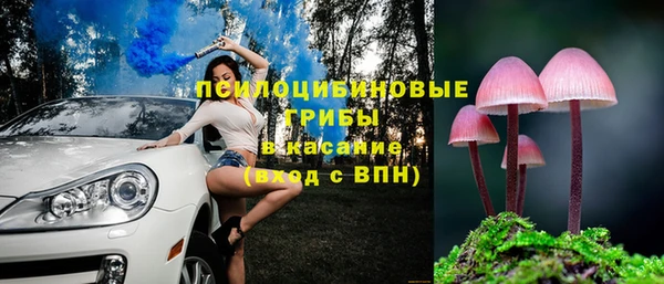 apvp Медвежьегорск