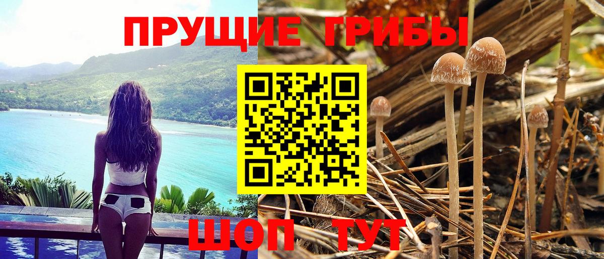 Ангарск  купить наркотик  Вход с VPN  Галлюциногенные грибы прущие грибы 