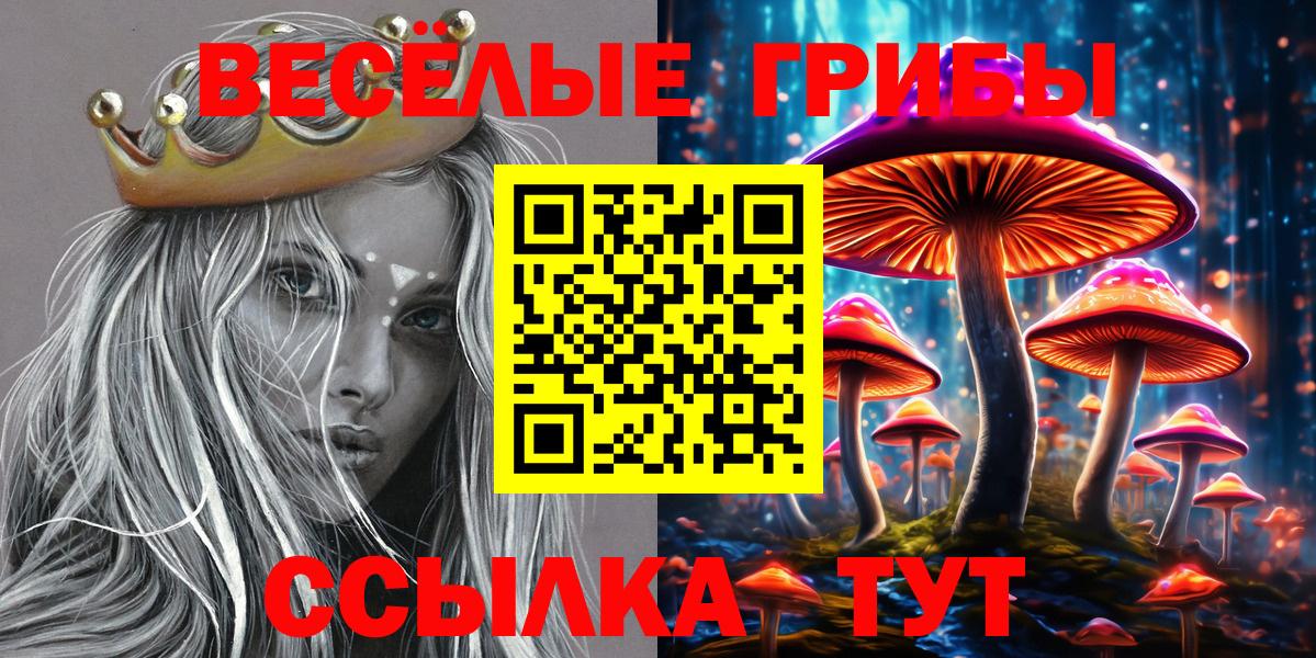 Галлюциногенные грибы Psilocybine cubensis Ангарск